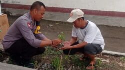 Dukung Swasembada Pangan, Polsek Labuapi Dampingi Petani Cabai