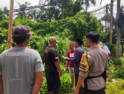 Polri Gerakkan Warga Meninting Manfaatkan Lahan Tidur
