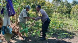 Bhabinkamtibmas Lombok Barat Dampingi Petani Hortikultura Sukseskan Ketahanan Pangan