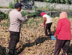 Polsek Labuapi Dorong Warga Karang Bongkot Manfaatkan Lahan Pekarangan
