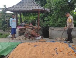 Polsek Labuapi Dampingi Petani Sukseskan Swasembada Pangan
