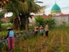 Polsek Labuapi Dorong Ketahanan Pangan di Karang Bongkot