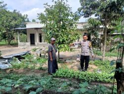 BHABINKAMTIBMAS KELURAHAN JONTLAK DORONG KETAHANAN PANGAN MELALUI DDS DAN SILATURAHMI DENGAN WARGA