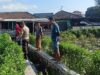 Bhabinkamtibmas Desa Masbagik Utara Kontrol Tanaman Warga untuk Dukung Ketahanan Pangan dan Jaga Kamtibmas