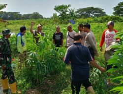 Polsek Batulayar Giatkan Ketahanan Pangan di Duduk Atas