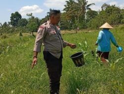 Bhabinkamtibmas Desa Merembu Ajak Warga Perkuat Ketahanan Pangan Menuju Swasembada Nasional