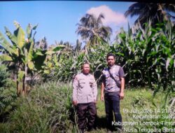 Bhabinkamtibmas Desa Suela Cek Lahan Ketahanan Pangan Bergizi, Dukung Produktivitas Pertanian Warga
