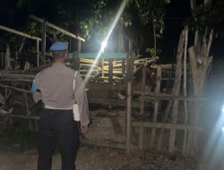 Antisipasi Pencurian Ternak, Polsek Sekotong Patroli Dini Hari