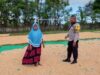 BHABINKAMTIBMAS DESA SAWE PANTAU HASIL PANEN JAGUNG WARGA, DUKUNG PROGRAM KETAHANAN PANGAN NASIONAL