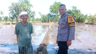 Strategi Polsek Labuapi Perkuat Swasembada Pangan di Kuranji