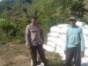 BHABINKAMTIBMAS POLSEK WOJA PANTAU PANEN JAGUNG WARGA, DUKUNG KETAHANAN PANGAN NASIONAL