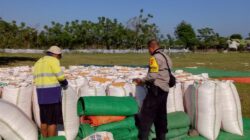 BHABINKAMTIBMAS DESA SAWE MONITORING HASIL PANEN JAGUNG WARGA, DUKUNG PENYERAPAN HASIL PANEN MELALUI BULOG