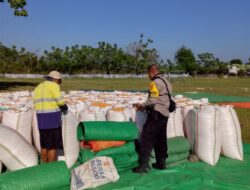 BHABINKAMTIBMAS DESA SAWE MONITORING HASIL PANEN JAGUNG WARGA, DUKUNG PENYERAPAN HASIL PANEN MELALUI BULOG