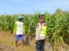 Polri Dukung Astacita, Polsek Rengel Polres Tuban Turun Cek Tanaman Jagung Warga di Desa Maibit