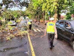 Satlantas Polres Lombok Barat Evakuasi Pohon Tumbang
