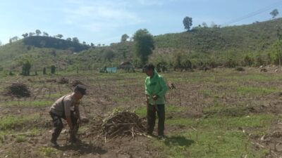 BHABINKAMTIBMAS DESA RABABAKA DORONG PETANI SIAP HADAPI MUSIM TANAM, DUKUNG KETAHANAN PANGAN DAERAH