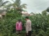 Polsek Grabagan polres Tuban Polda Jawa Timur Dukung Penuh Swasembada Pangan Presiden Prabowo Melalui Pendampingan Petani