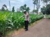 Polsek Montong Polres Tuban Turun Cek Tanaman jagung Warga di Desa Jetak