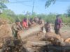 Sinergi TNI-Polri dan Instansi Terkait Evakuasi Pohon Tumbang di Jalur Lintas Sumbawa-Bima