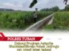 Polri dukung progam Astacita, Polsek Jatirogo Polres Tuban Turun Cek Tanaman jagung Warga di Desa Kebonharjo