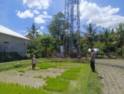 Perkuat Ketahanan Pangan, Bhabinkamtibmas Desa Ngeru Dampingi Petani Padi di Dusun Kalijaga