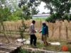 Polri Dukung Astacita, Polsek Merakurak Polres Tuban Turun Cek Tanaman Jagung Warga di Desa Temandang