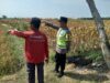 Polri Dukung Astacita, Polsek Rengel Polres Tuban Turun Cek Tanaman Padi Warga di Desa Pekuwon