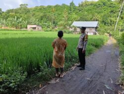 Dukung Ketahanan Pangan Nasional, Bhabinkamtibmas Desa Karang Dima Ajak Warga Manfaatkan Lahan Pekarangan