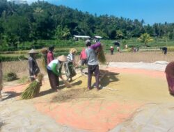 Babinsa dan Petani Bersinergi Jaga Ketahanan Pangan Desa