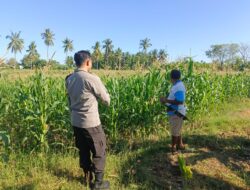 Bhabinkamtibmas Desa Lekong Ajak Warga Optimalkan Lahan dengan Tanaman Hortikultura