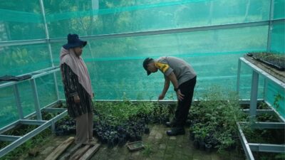 BHABINKAMTIBMAS POLSEK DOMPU DORONG WARGA KEMBANGKAN PEKARANGAN PANGAN LESTARI UNTUK PERKUAT KETAHANAN PANGAN DAN GIZI