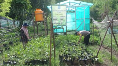 BHABINKAMTIBMAS POLSEK DOMPU DORONG WARGA KEMBANGKAN PEKARANGAN PANGAN LESTARI UNTUK PERKUAT KETAHANAN PANGAN DAN GIZI