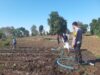 DORONG PETANI KEMBANGKAN TANAMAN TUMPANG SARI UNTUK MENINGKATKAN KETAHANAN PANGAN DAN PENDAPATAN KELUARGA
