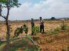 Dukung Program Asta Cita, Anggota Polsek Kerek Dampingi Petani Olah Lahan