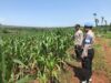 Polri Dukung Astacita, Polsek Merakurak Polres Tuban Turun Cek Tanaman Jagung Warga di Desa Tuwiri Kulon