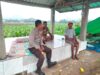 Bhabinkamtibmas Polsek Hu’u Edukasi Petani Tembakau untuk Dukung Ketahanan Pangan dan Peningkatan Hasil Pertanian