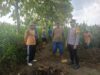 Polsek Tambakboyo Polres Tuban Turun Cek Tanaman jagung Warga di Desa Mander