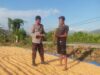 Dukung Ketahanan Pangan Nasional, Bhabinkamtibmas Polsek Hu’u Pantau Penjemuran Jagung Warga dan Dorong Penyaluran Hasil Panen ke Bulog