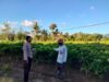 Bhabinkamtibmas Polsek Hu’u Sambangi Petani Cabai di Cempi Jaya, Berikan Edukasi Perawatan Tanaman untuk Dukung Ketahanan Pangan