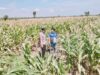 Polsek Tambakboyo Polres Tuban Turun Cek Tanaman jagung Warga di Desa Ngulahan