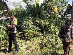 Bhabinkamtibmas Desa Kidang Dorong Warga Manfaatkan Pekarangan dan Jaga Kamtibmas