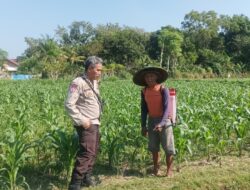Polsek Batulayar Dorong Warga Sandik Manfaatkan Pekarangan Rumah