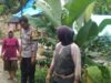Polsek Lembar Perkuat Ketahanan Pangan di Labuan Tereng
