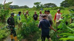 Warga Duduk Atas Lombok Barat Sulap Pekarangan Jadi Kebun
