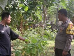 Bhabinkamtibmas Senggigi Gerakkan Warga Manfaatkan Lahan Tidur