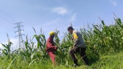 Sinergi Polsek Labuapi Perkuat Ketahanan Pangan Masyarakat
