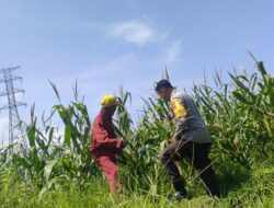 Polsek Labuapi Dorong Ketahanan Pangan Desa Kuranji Dalang