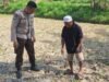Bhabinkamtibmas Desa Sukadana Monitoring Lahan Jagung Milik Ketua Gapoktan Dile Semprong