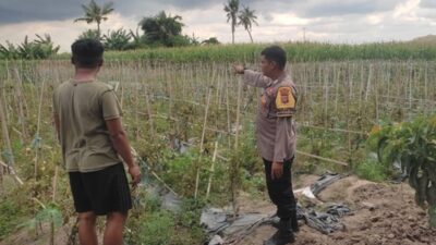 Cara Bhabinkamtibmas Lombok Barat Edukasi Petani Melejitkan Hasil Panen