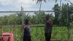 Polsek Labuapi Kawal Petani demi Ketahanan Pangan